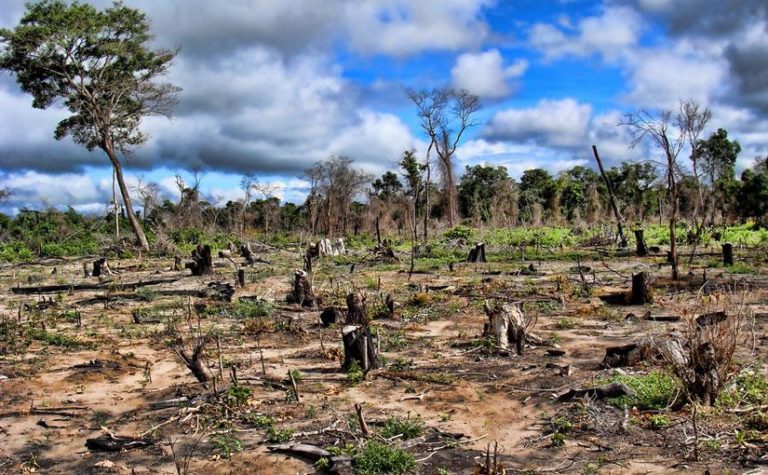 The Rich Get Richer and the Environment gets Poorer