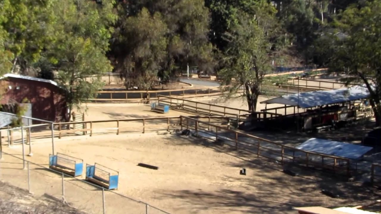 Teacher Feature on MVHS FFA’s Ms. Shook