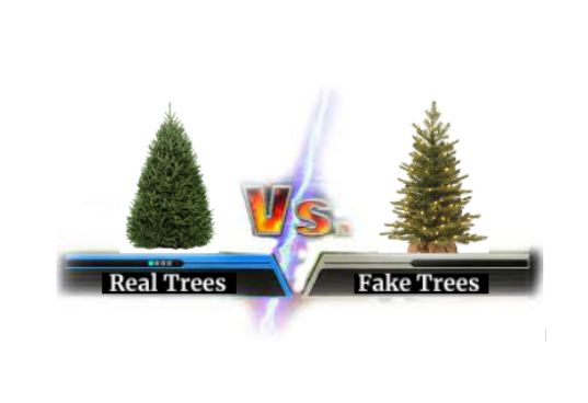 Real VS Fake Tree: The Seasonal Showdown